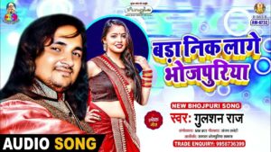 Bada nik lage raja ringtone