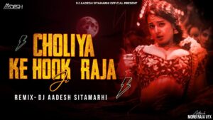 Choliya Ke Hook song Ringtone