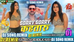 sorry sorry ringtone