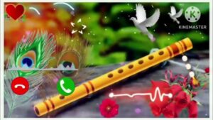 aarti kunj bihari ki ringtone