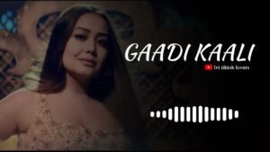 gaadi kaali ringtone