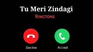 tu meri zindagi adayein ringtone