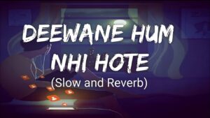Deewane Hum Nahi Hote Ringtone