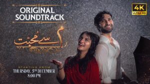 Meem Se Mohabbat Ringtone