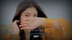 Teri Aarzoo Ringtone