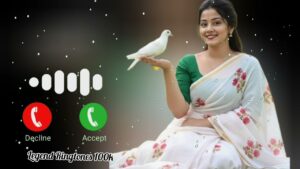 tik tok funny ringtone