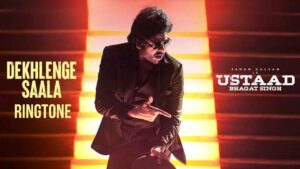 Dekhlenge Saala Ringtone