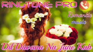 Dil Deewana Ho Gaya Ringtone