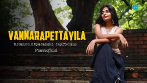 Vannarapettayila ringtone