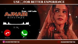 Meri Zindagi Mein Ajnabee Ringtone