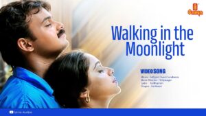 Walking In The Moonlight Ringtone